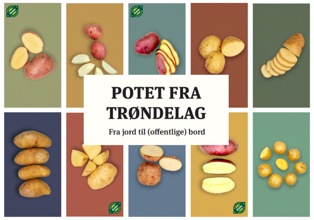 Kjøp og salg av Trøndersk mat - offentlig sektor og HoReCa