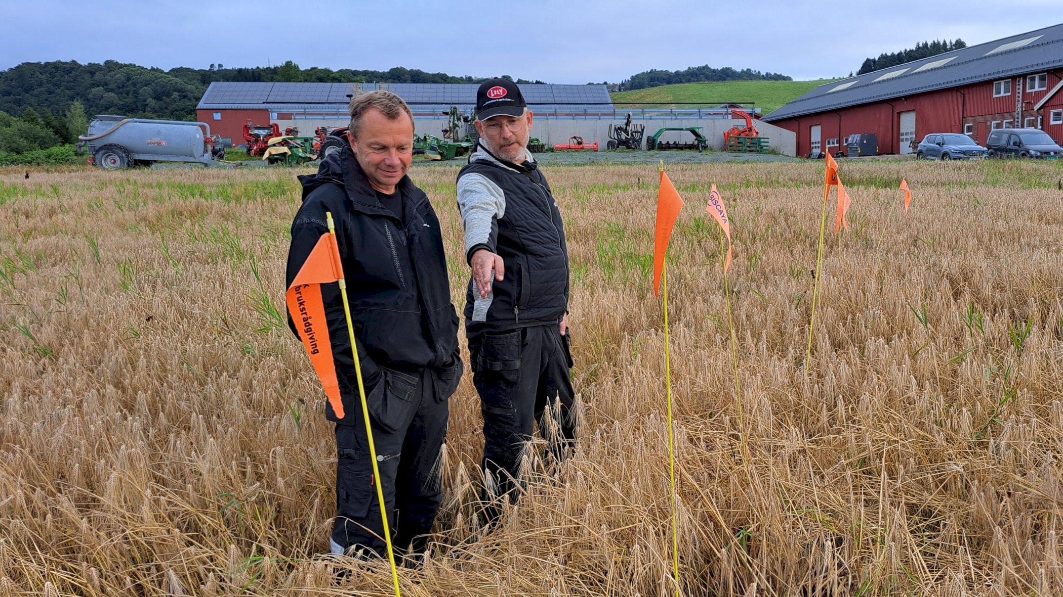 Økologisk Førsteråd: noe for deg?