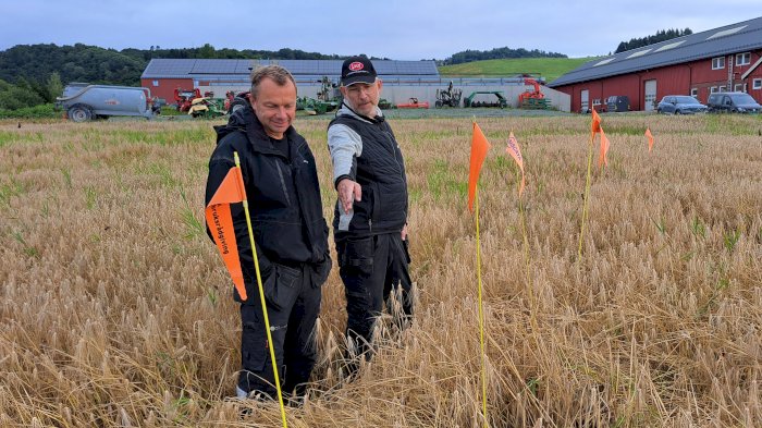Økologisk Førsteråd: noe for deg?
