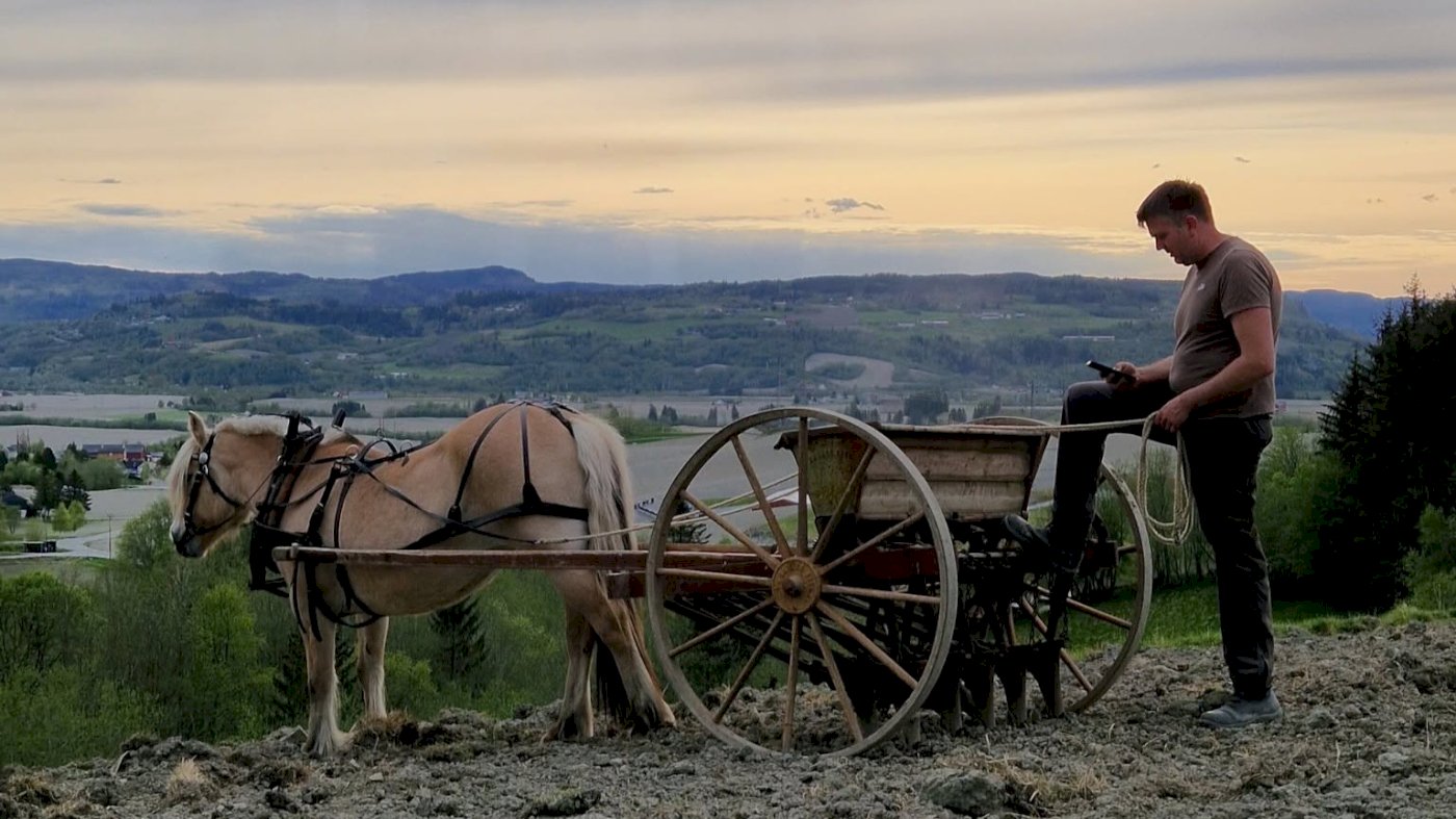 Allsidig økologisk drift på Melhus med Ole Johan Granøien, Lysklæt gård