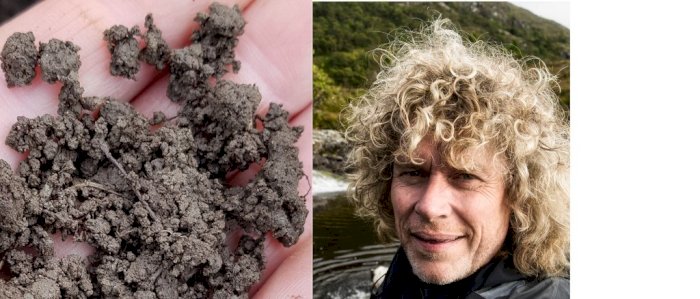 Levende mold! Markvandring med Dag Jørund Lønning på Voll gård.