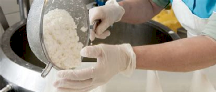 Praktisk grunnleggende melkeforedling online