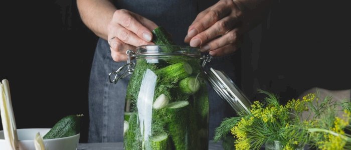 Digitalt fermenteringskurs i tre timer med Jenny Neikell