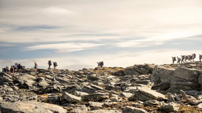 Midtvegs i Nordfjord