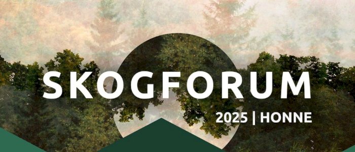 SKOGFORUM 2025