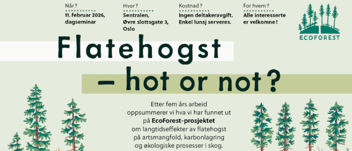 Flatehogst – hot or not? Oppsummering av EcoForest-prosjektet