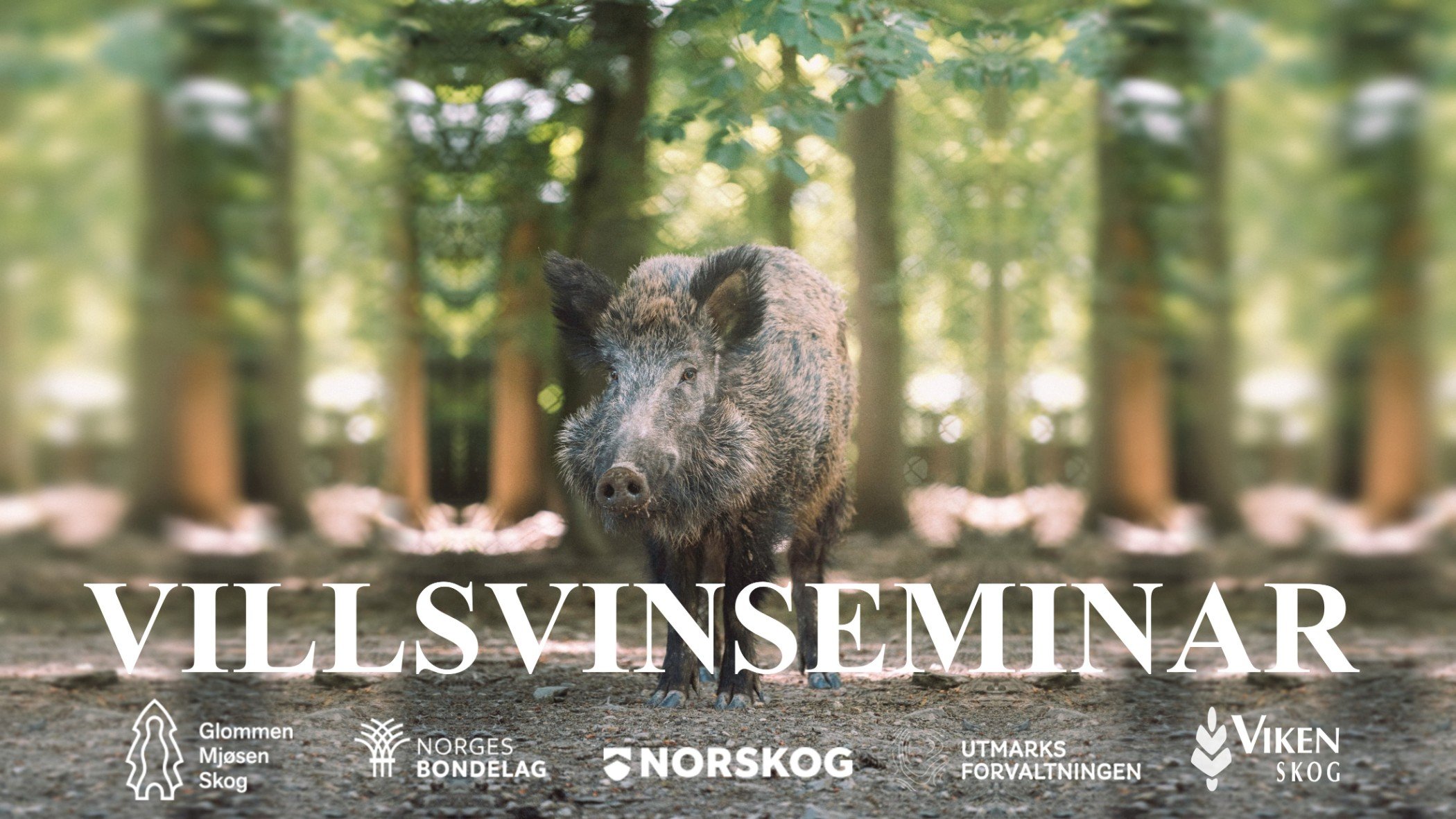 Villsvinseminar 2026