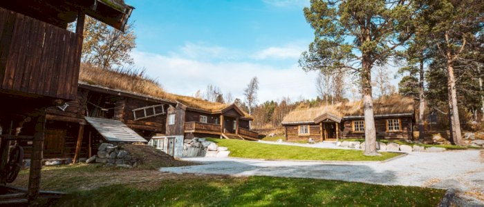 Wiggy Waggy og Auksjon i Skurdalen