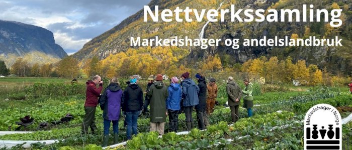Nettverkssamling for erfarne markedshager og andelslandbruk 2023