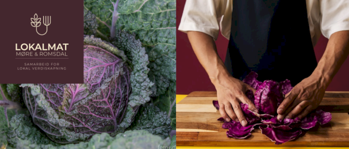 ØKOLOGISK KÅL - dyrking, produktutvikling og lokal verdiskaping