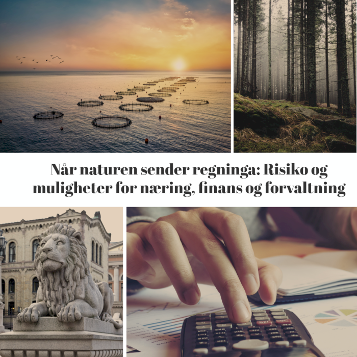 Når naturen sender regningen: Naturrisiko for næring, finans og forvaltning