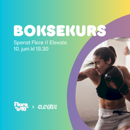 Boksekurs // Spenst Florø // Elevate karrierefestival