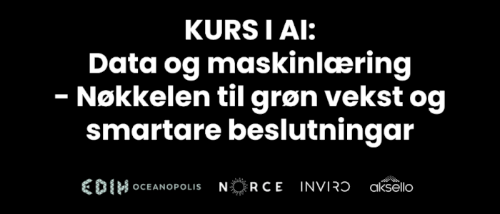 Kurs i AI: Data og Maskinlæring - Nøkkelen til grøn vekst og smartare beslutningar