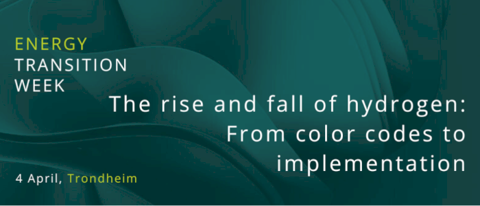 Workshop: The rise and fall of hydrogen: From color codes to implementation