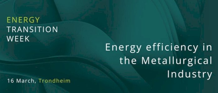 Workshop: Energy efficiency in the Metallurgical Industry
