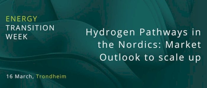 Workshop: Hydrogen Pathways in the Nordics: Market Outlook to scale up