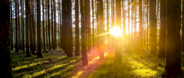 Kurs i bærekraftsrapportering for SMBer