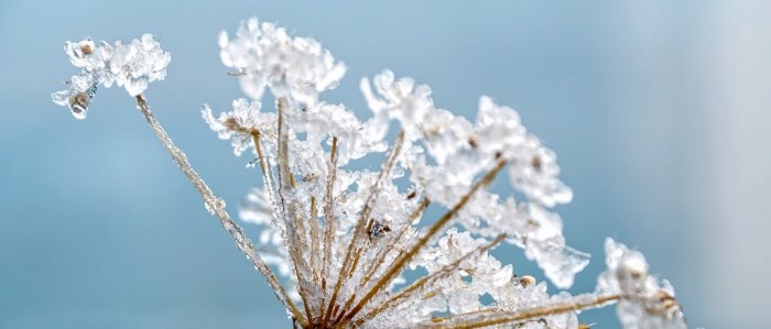 Frokostseminar Kongsvinger: Klimavennlige bygg som viser vei