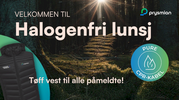 Halogenfri lunsj i Hamar