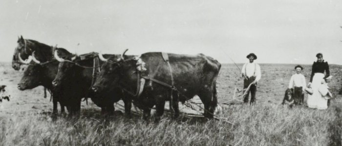 11.11 Utvandringen til Amerika på 90 minutter