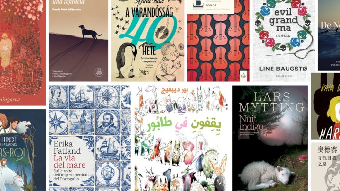 25.04 100 år med norsk litteratur i utlandet