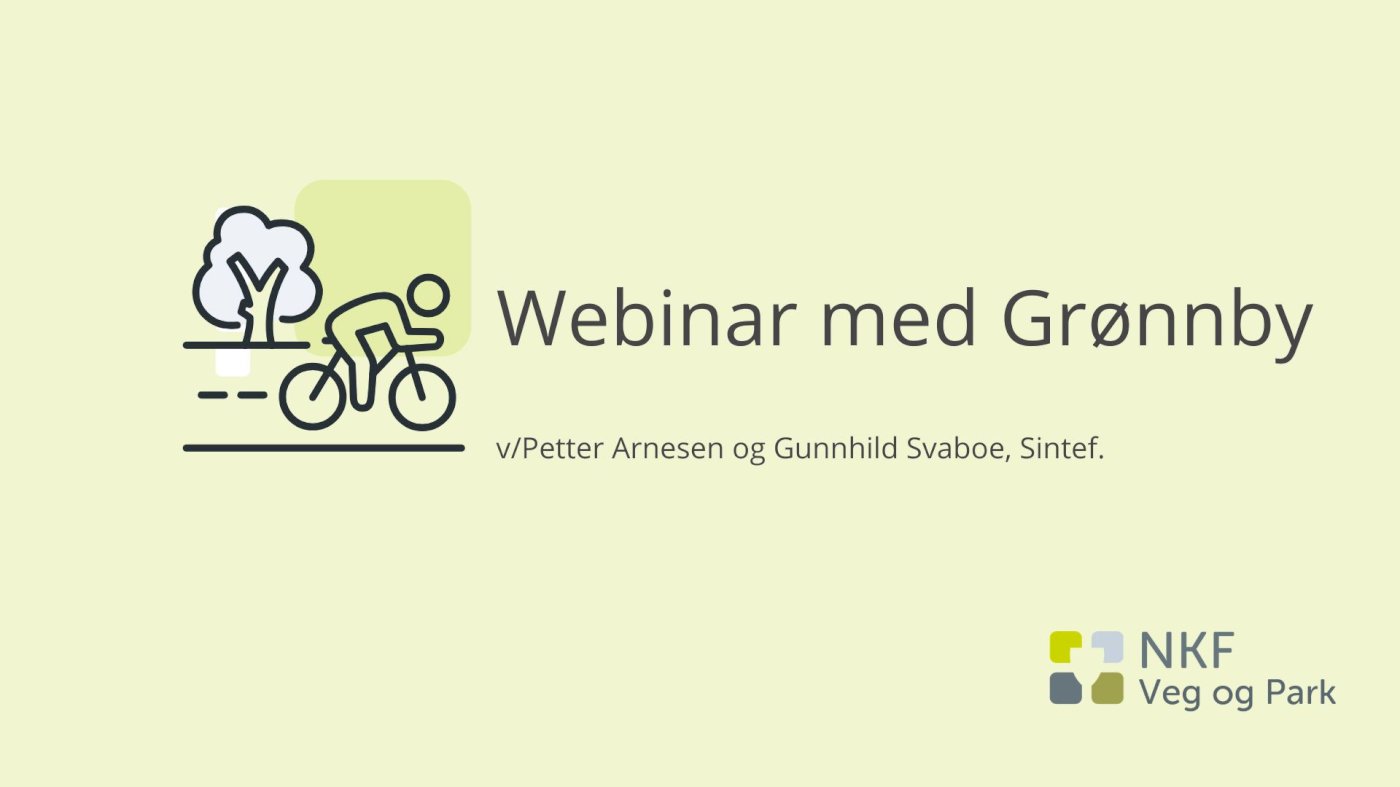 Webinar med Grønnby