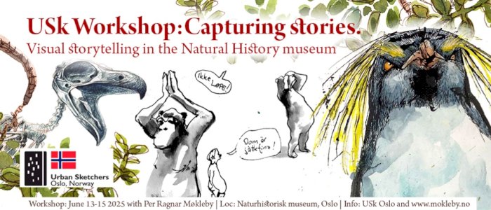 USk Workshop: Capturing stories. Visual storytelling in the Natural History museum.