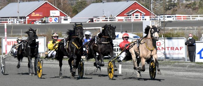 V75 Sommertravet "Grillbuffet, VIP Telt med Live musikk"