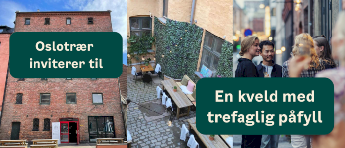 Oslotrær inviterer til trevandring og faglig ettermiddag
