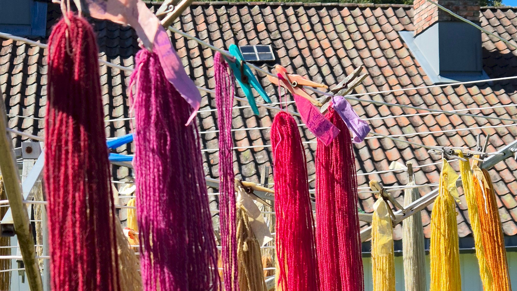 Plantefarging av garn, ved Siv Hageland