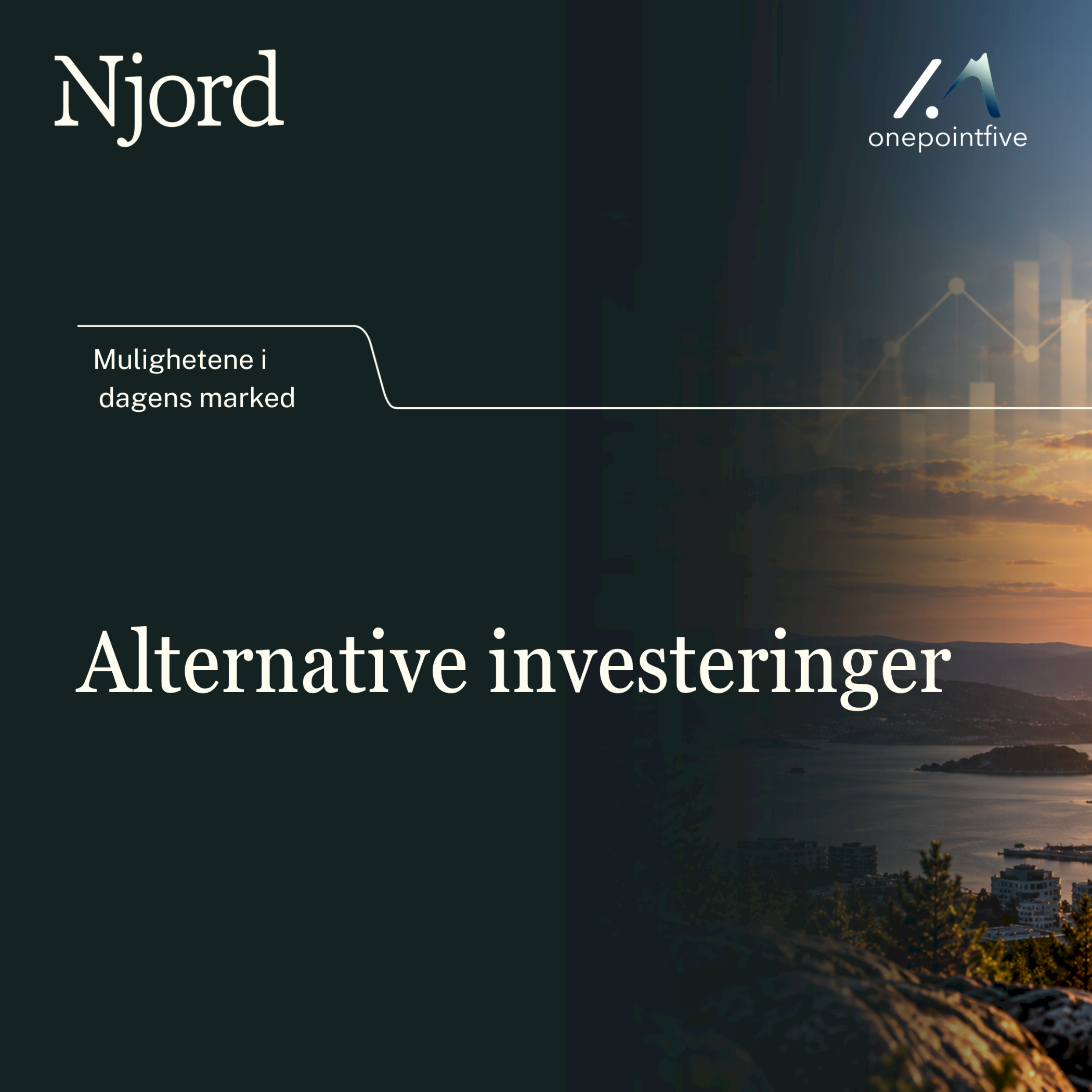 Muligheter i dagens marked