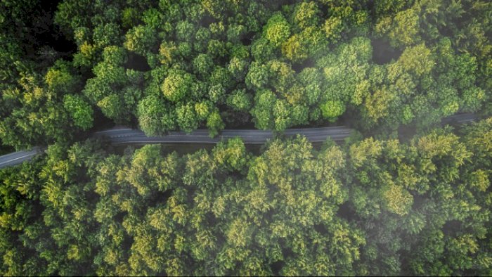 Webinar med KPMG - CSRD & Beyond: Mastering the New EU Sustainability Reporting Requirements