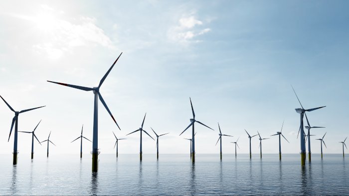 Seminar: Navigating Risk in Offshore Wind
