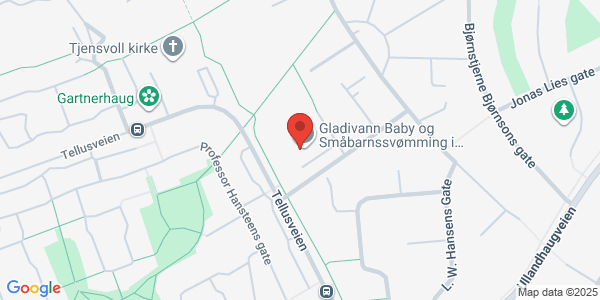 Map displaying event location