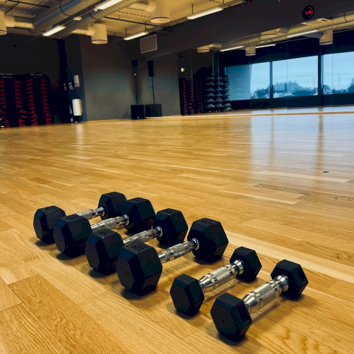Hjertelaget Fysioterapi Saltrening/Sirkeltrening - Høst 2026