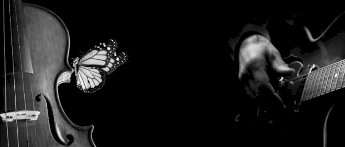 2026 Norsk Suzukiforbunds Sommerkurs på Geilo