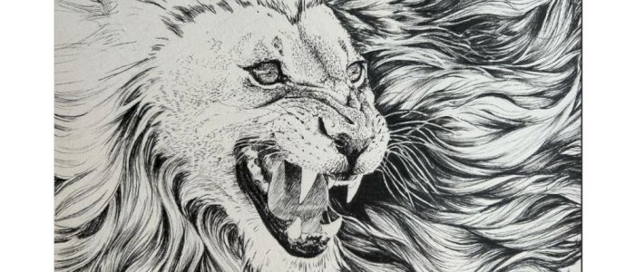 Drawing for professionals