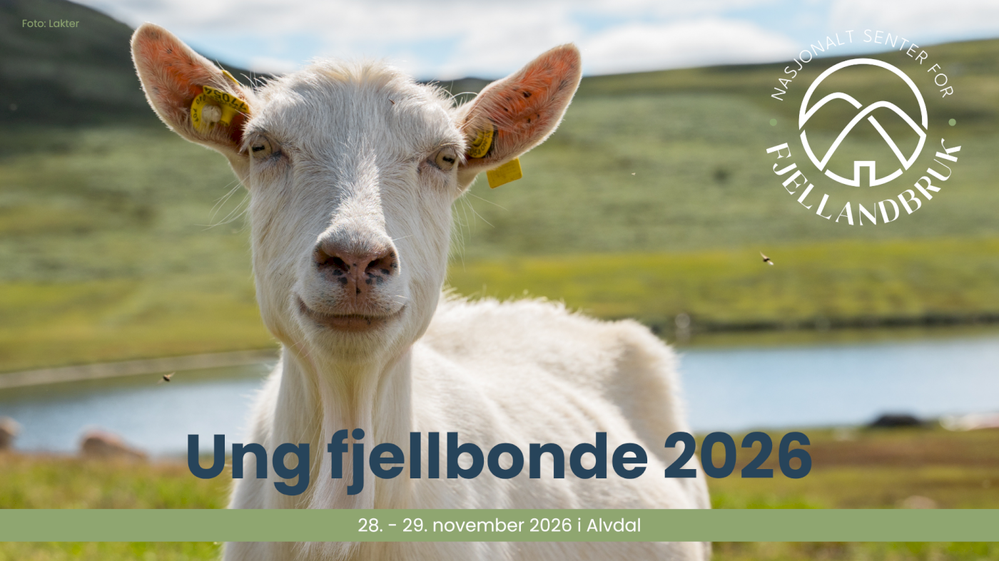 Ung Fjellbonde 2026