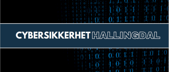 Cybersikkerhet Hallingdal