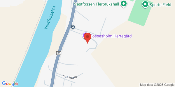 Map displaying event location