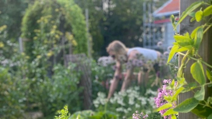 Frøberedskapskurs i Bø