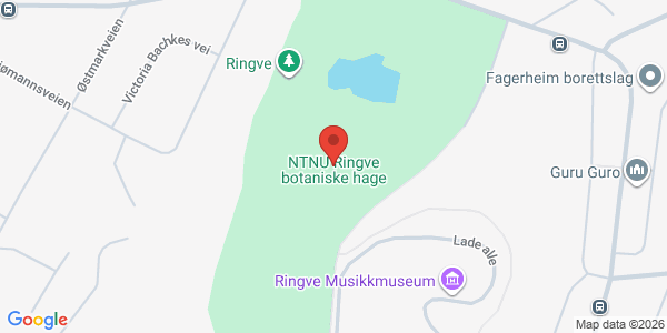 Map displaying event location