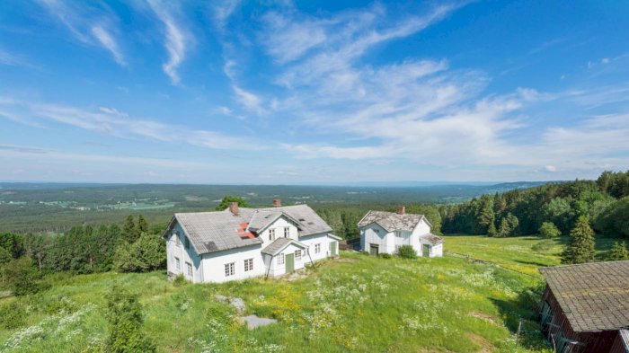 Urtearv Hedmark: Fortelling, lek og planter