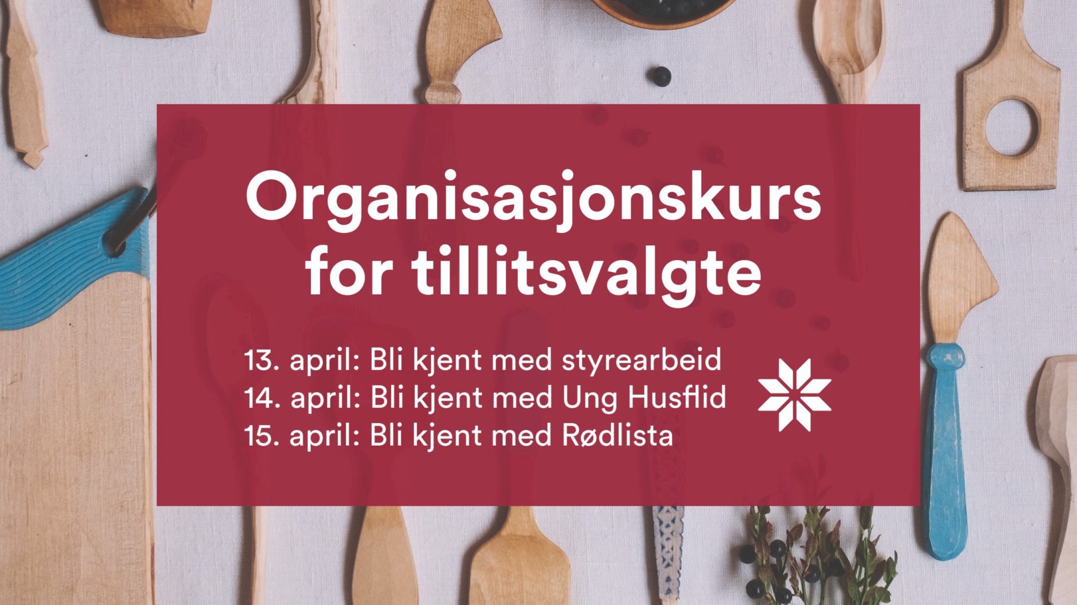 Organisasjonskurs: Bli kjent med styrearbeid.