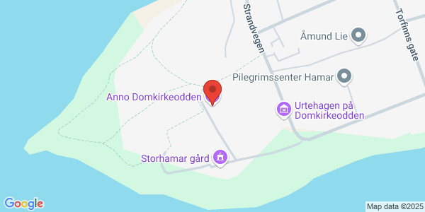 Map displaying event location