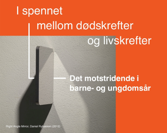 IBUPs jubileums konferanse