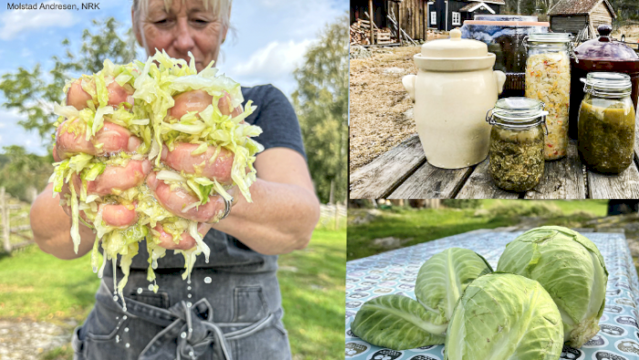 Kurs 54 - Fermentering