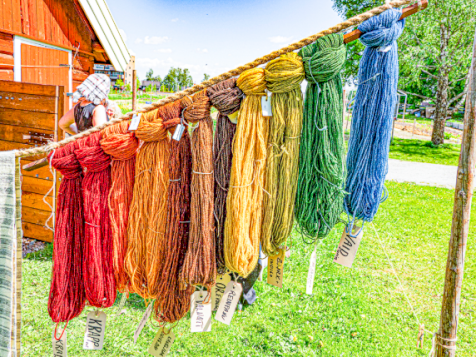 Kurs 30 - V25- Plantefarging - sommerkurs
