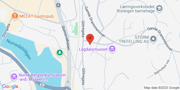 Map displaying event location