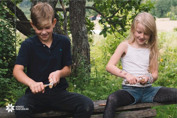 Sommerskole